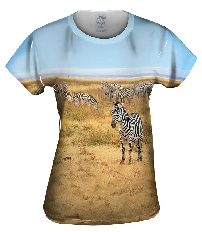 Zebra Herd Tanzania Australian Beach