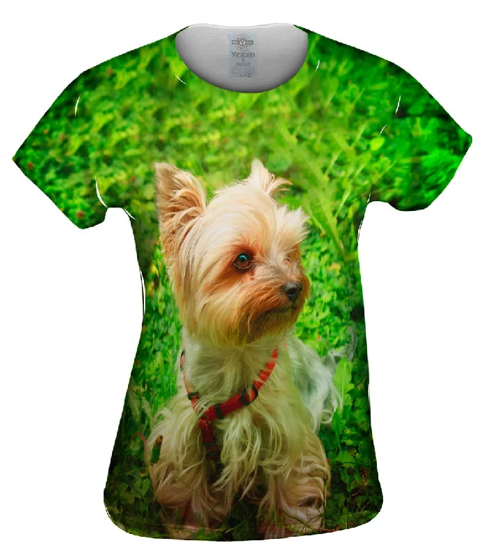 Yorkshire Terrier Moss Vintage Women's 1970S 