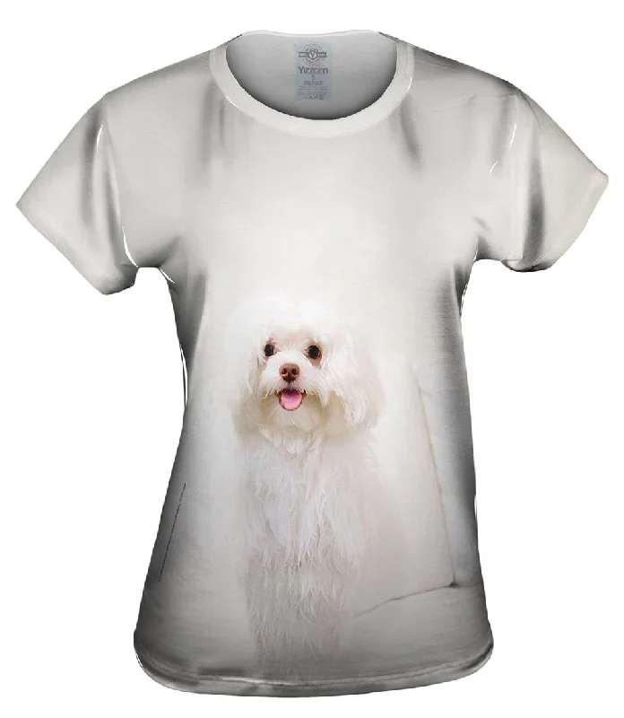 White Wash Maltese Disco