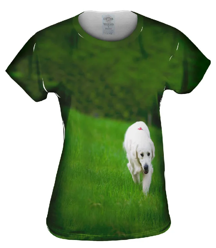White Lab Strolling garde
